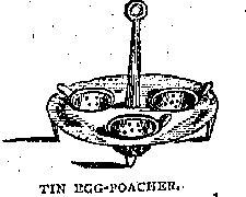 Illustration: TIN EGG-POACHER.