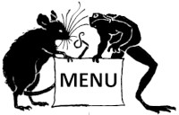 Back to Introduction