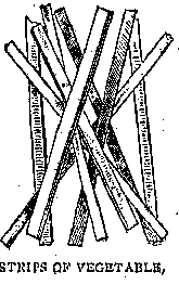 Illustration: STRIPS OF VEGETABLE.