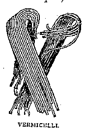 Illustration: VERMICELLI.