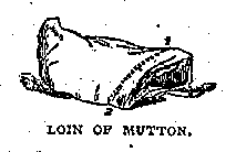 Illustration: LOIN OF MUTTON.