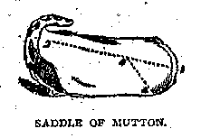 Illustration: SADDLE OF MUTTON.