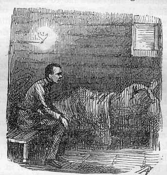 Illustration -- Courvoisier in the condemned hold